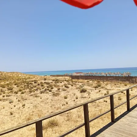 Pensión Paradis - Piscine événements Pêra